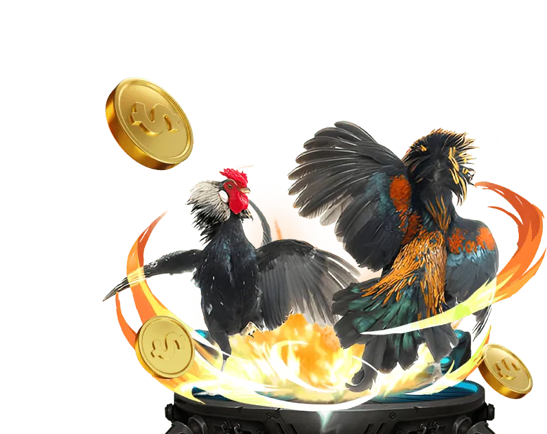 Tin tức đá gà mới nhất